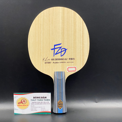 Fan Zhendong ALC NDN