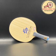 Fan Zhendong ALC NDN