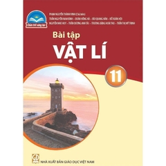 Bài tập Vật lí 11 (Chân trời sáng tạo)