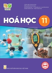 Hóa học 11 (Kết nối tri thức với cuộc sống)