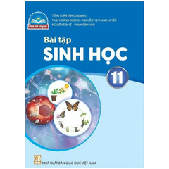 Bài tập Sinh học 11 (Chân trời sáng tạo)