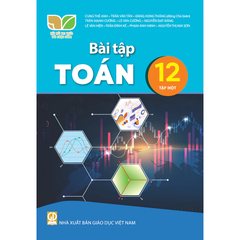 Bài tập Toán 12, tập một (Kết nối tri thức với cuộc sống)