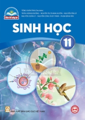 Sinh học 11 (Chân trời sáng tạo)