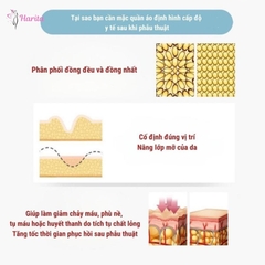Quần định hình đùi sau hút mỡ giai đoạn 1 xuất Nhật