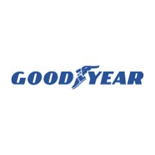 205/60R16 Runflat GOODYEAR Đức Efficentgrip