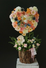 Love tree
