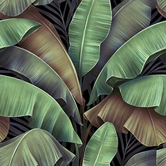 Lá Chuối- Banana Leaf