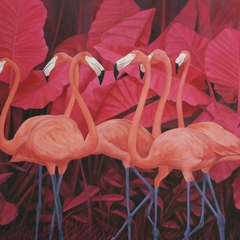 Chim hồng hạc- Flamingo