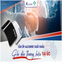 Tấm Ốp Nhôm Nhựa Alu