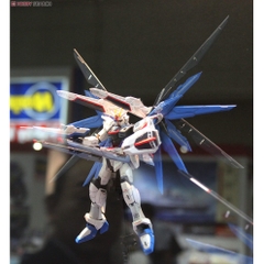 Mô hình lắp ráp RG Freedom Gundam Bandai - GDC 4573102616142