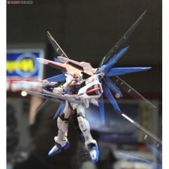 Mô hình lắp ráp RG Freedom Gundam Bandai - GDC 4573102616142