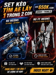 ƯU ĐÃI ĐẶC BIỆT MUA NU MEOWS TẶNG NU FF MEOWS Hoặc Set Kèo Ae mua 1 trong 2