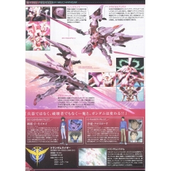 Mô hình lắp ráp HG Trans AM Raiser 042