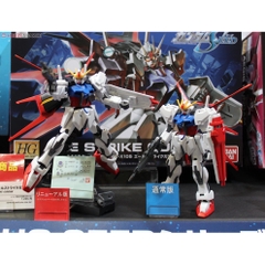 Mô hình lắp ráp HG R01 Aile Strike Gundam Bandai - GDC