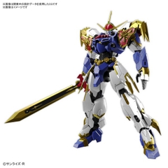 Mô hình lắp ráp HG Amplified IMGN RYUJINMARU Bandai 4573102633675