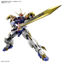 Mô hình lắp ráp HG Amplified IMGN RYUJINMARU Bandai 4573102633675