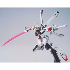 Mô Hình Lắp Ráp HG UC Crossbone Gundam X1 Bandai - GDC 4573102568359
