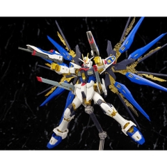 Mô hình Gundam RG ZGMF-X20A Strike Freedom Gundam Bandai 4573102616173 4543112851390