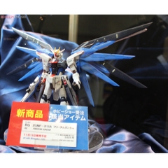 Mô hình lắp ráp RG Freedom Gundam Bandai - GDC 4573102616142