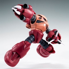 mô Hình lắp ráp Gundam HGUC MSM-07S Zgok Bandai - GDC 4573102592477