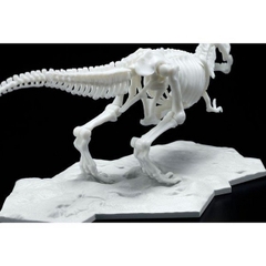 Mô Hình Lắp Ráp Bandai Dinosaur Model Kit Limex Skeleton Tyrennosaurus 4573102616593 (Plastic Model)