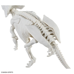 MÔ HÌNH LẮP RÁP PLANNOSAURUS PACHYRHINOSAURUS BANDAI 4573102742483