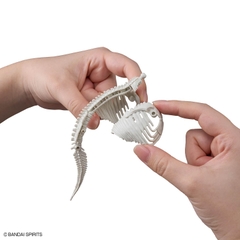 MÔ HÌNH LẮP RÁP PLANNOSAURUS PACHYRHINOSAURUS BANDAI 4573102742483