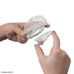 MÔ HÌNH LẮP RÁP PLANNOSAURUS SPINOSAURUS 1915 BANDAI 4573102742452