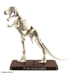 MÔ HÌNH LẮP RÁP PLANNOSAURUS TYRANNOSAURUS 1915 BANDAI 4573102742469