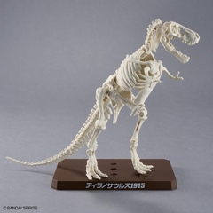 MÔ HÌNH LẮP RÁP PLANNOSAURUS TYRANNOSAURUS 1915 BANDAI 4573102742469