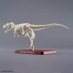 MÔ HÌNH LẮP RÁP PLANNOSAURUS TYRANNOSAURUS TROPICAL JUNGLE VER. BANDAI 4573102742476