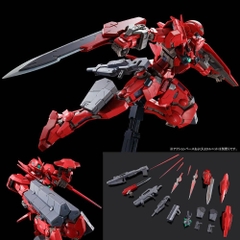 Mô hình lắp ráp MG GNY-001F Gundam Astraea Type F ( Full Weapon Set ) Bandai