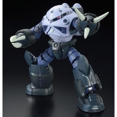 Mô Hình Lắp Ráp RG MSM-07 ZGOK P-BANDAI Limited
