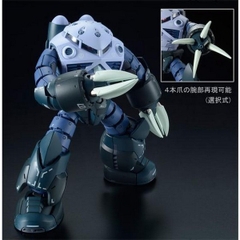 Mô Hình Lắp Ráp RG MSM-07 ZGOK P-BANDAI Limited