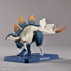 Mô Hình Lắp Ráp PLANNOSAURUS STEGOSAURUS Bandai 4573102651105