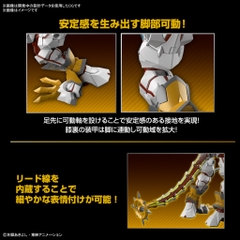 Mô Hình Lắp Ráp Figure-rise Standard Amplified SHINEGREYMON Bandai 4573102653246