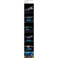 Mô Hình lắp ráp PLANNOSAURUS Mosasaurus 4573102653215