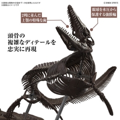 Mô Hình Lắp Ráp Bandai 1/32 Imaginary Skeleton Mosasaurus 4573102654281 (Plastic Model)