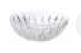 SONOMA   Salad Bowl  10 "