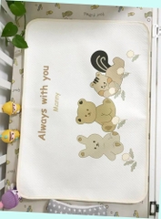 Lót tè gấu xuất Hàn