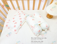 BỘ CHẶN BÔNG KÈM GỐI CAO CẤP ZELOO