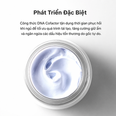 Kem Đêm Neova Night Therapy Phục Hồi Chống Lão Hoá Da 50ml - Fullbox - Hàng Công ty