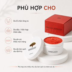 Mặt Nạ Đất Sét Se Khít Lỗ Chân Lông Shegaia Dragonblood Exosome Pore Procedure Mask 150g - Fullbox - Hàng Công Ty