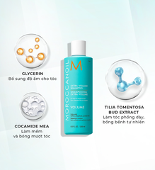Set Gội Xả Moroccanoil (500mlx2) - Công Ty