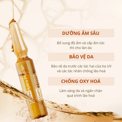 Tinh Chất Dưỡng Sáng Da Martiderm Pigment Zero DSP - Tách set No box (ko kèm đồ mở nắp) + Hộp 30 ống (kèm đồ mở nắp) - 5*2ml