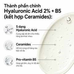Serum The Ordinary Hyaluronic Acid 2% + B5 Cấp Ẩm Phục Hồi Da - 30ml Fullbox - Hàng US