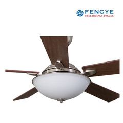 Quạt Trần FY513-BN