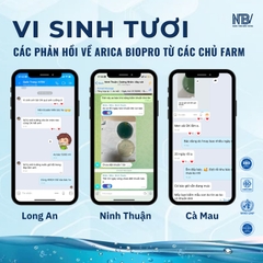 COMBO 10 TẶNG 1 ARICA MUA TRỰC TIẾP
