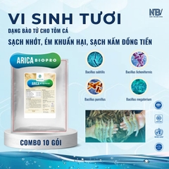 COMBO 10 TẶNG 1 ARICA MUA TRỰC TIẾP