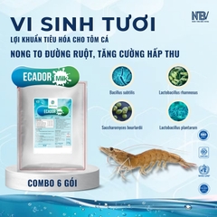 COMBO 6 ECADOR MILK